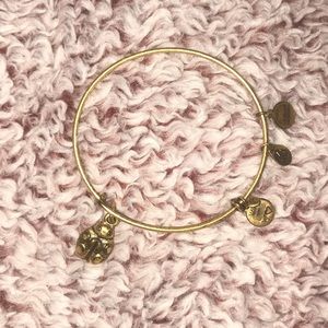 DISCONTINUED Alex & Ani Ladybug Bracelet